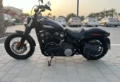 Harley Street Bob 2019