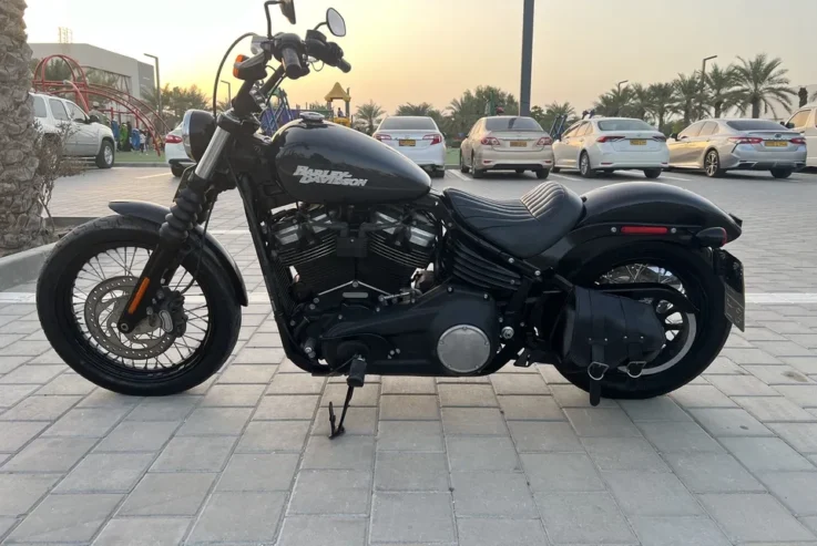 Harley Street Bob 2019