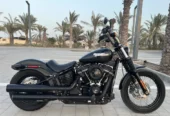 Harley Street Bob 2019