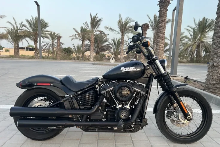 Harley Street Bob 2019