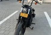 Harley Street Bob 2019