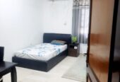 Fully Furnished Big Room Available for Rent