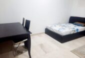 Fully Furnished Big Room Available for Rent