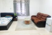 Fully Furnished Big Room Available for Rent