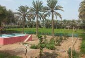 10 Acres Farm House For Sale – Freehold