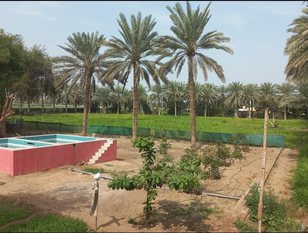 10 Acres Farm House For Sale – Freehold