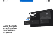 Professional Websites for Businesses