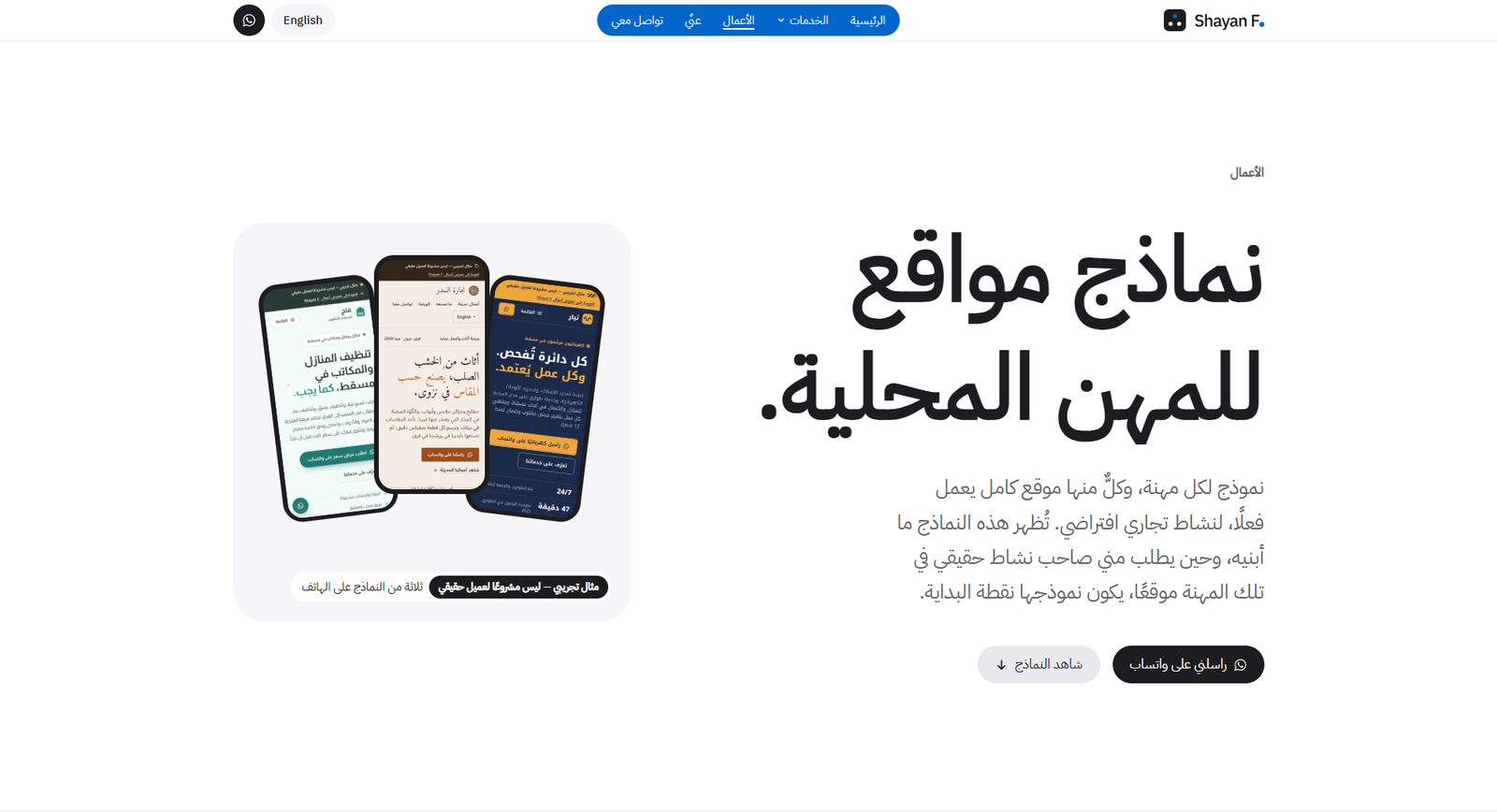 Professional Websites for Businesses